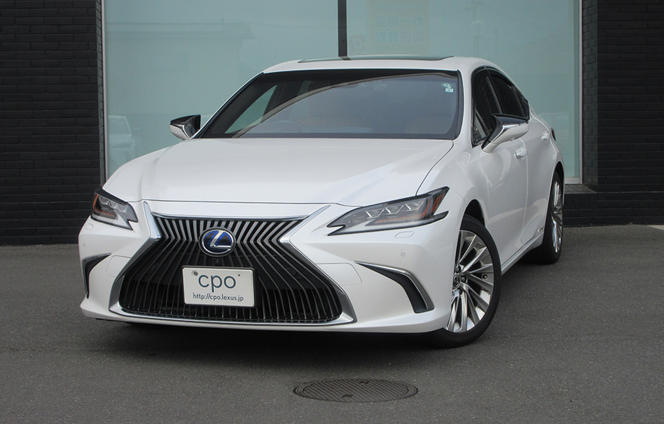 ES300h version L