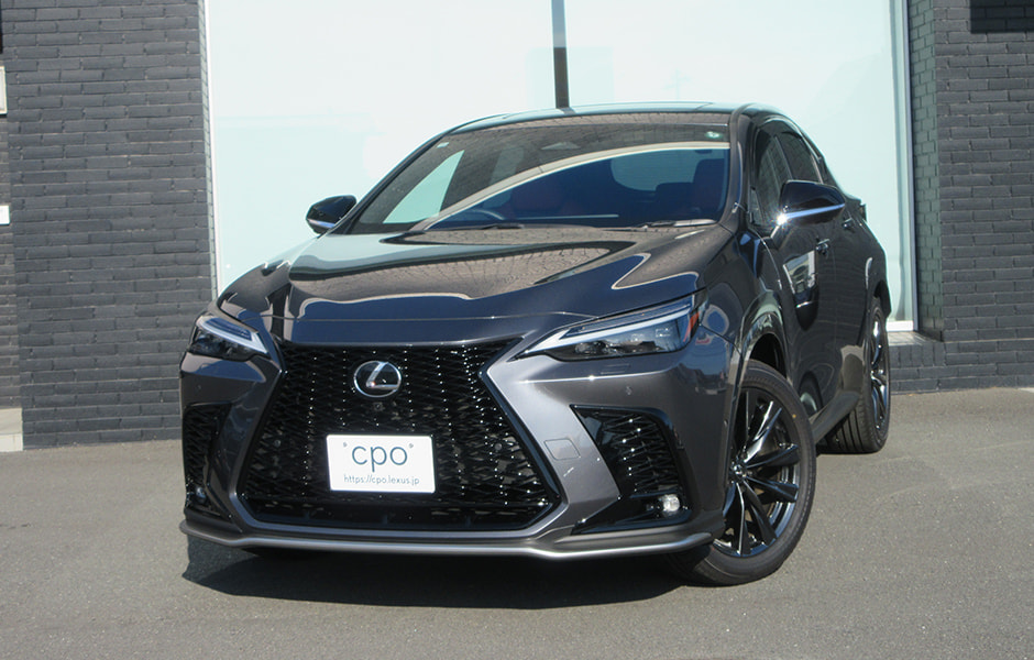 NX350h F SPORT