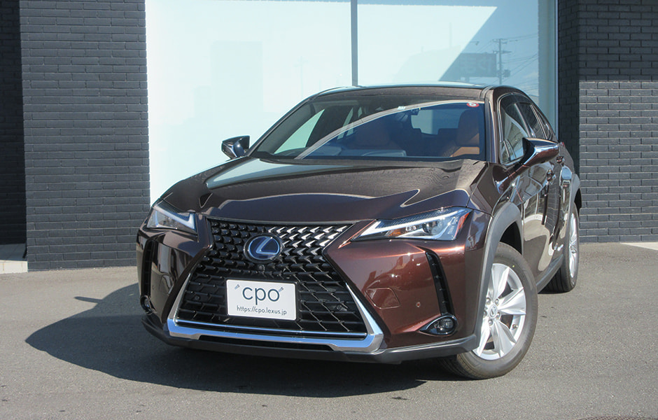 UX250h version C