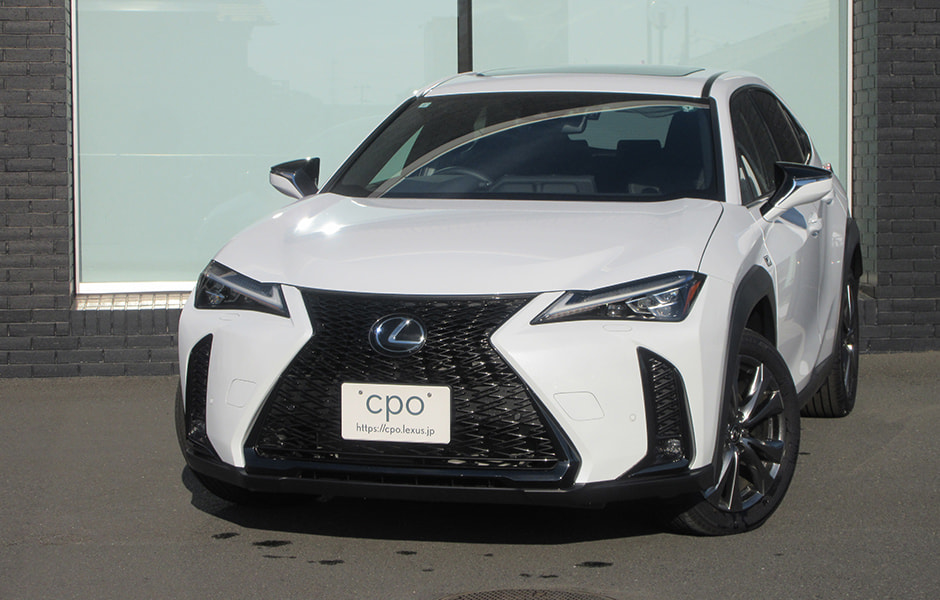 UX250h F SPORT