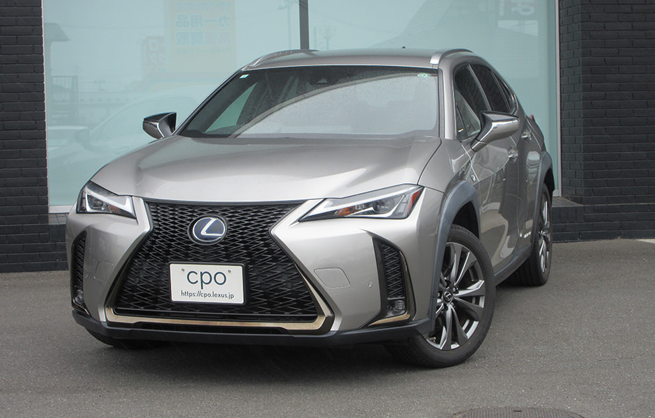 UX250h F SPORT