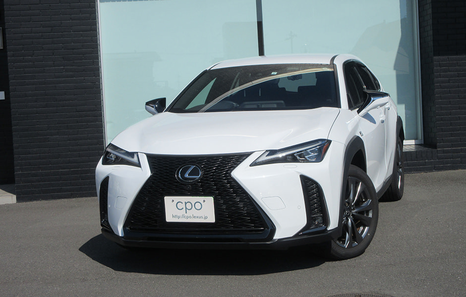 UX250h F SPORT