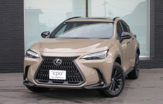 NX350h OVERTRAILのサムネイル