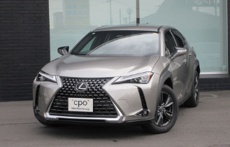 UX300h version Cのサムネイル