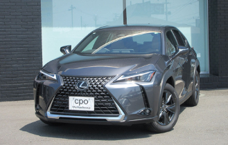 UX300h version Cのサムネイル